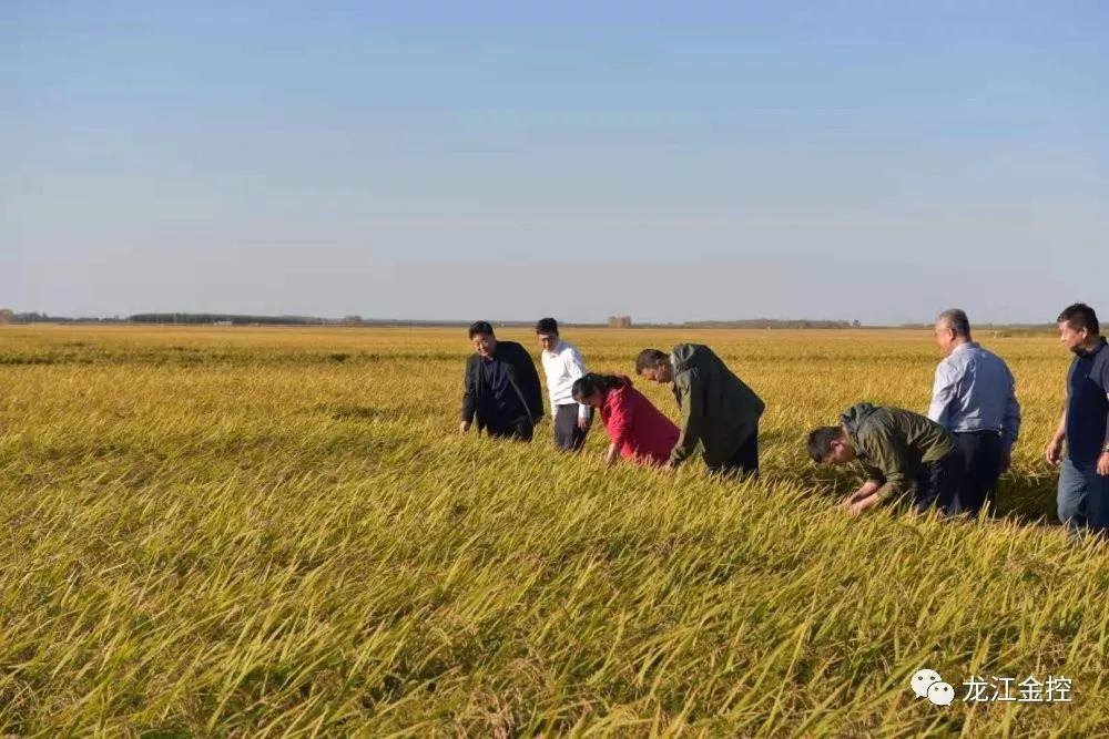 20200412063727119 20200412063727119